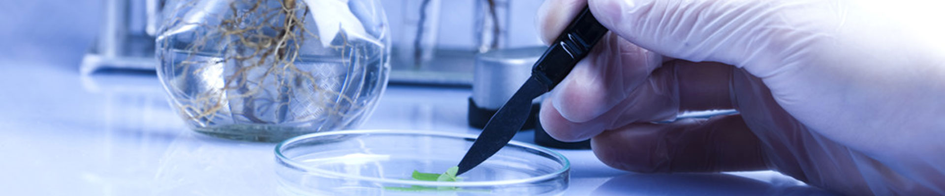 91香蕉APP下载设备