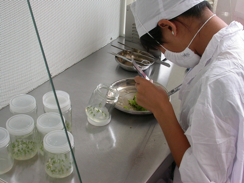 ç»å¹è®¾å¤