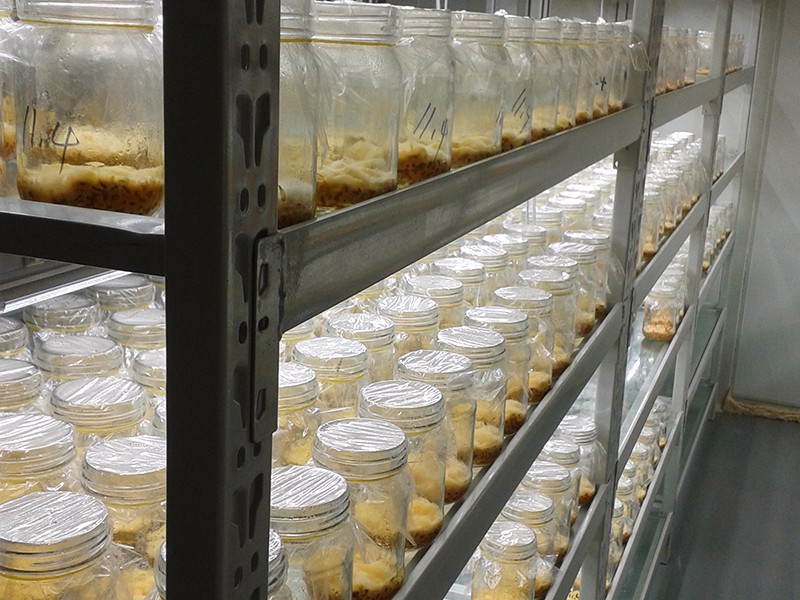 ç»å¹è®¾å¤