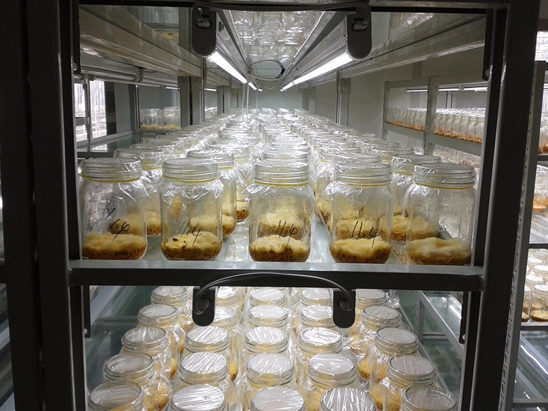 ç»å¹è®¾å¤