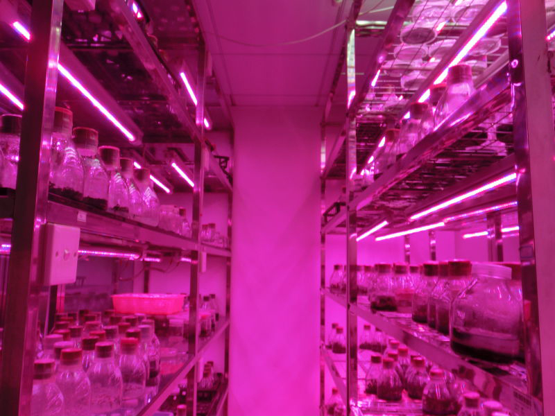 ç»å¹è®¾å¤