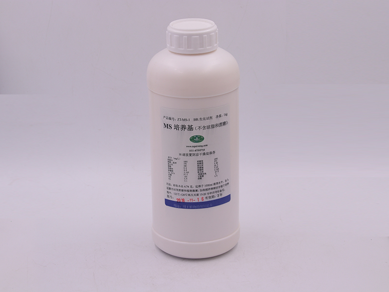 91香蕉APP下载设备