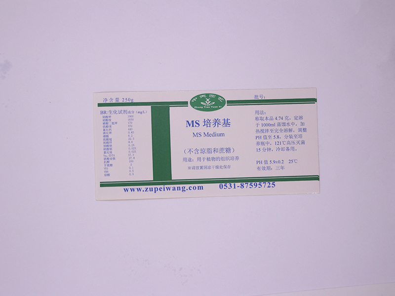 91香蕉APP下载设备