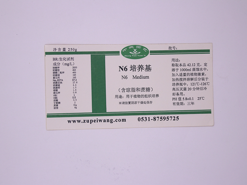 91香蕉APP下载设备