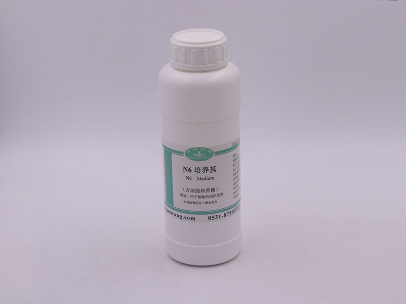 91香蕉APP下载设备