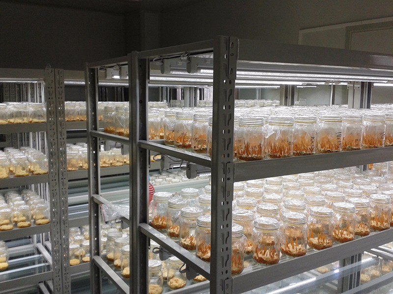 ç»å¹è®¾å¤