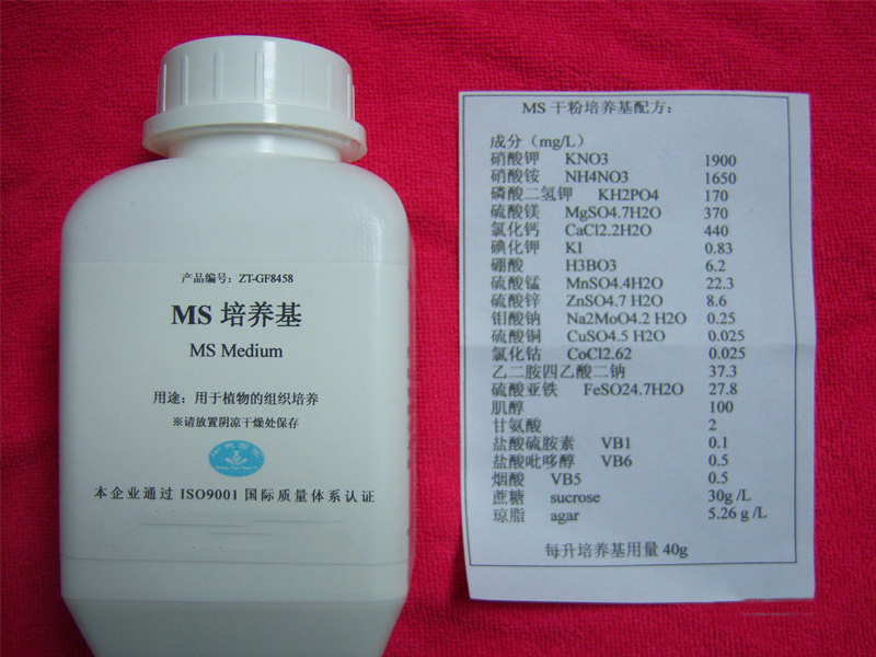 91香蕉APP下载设备