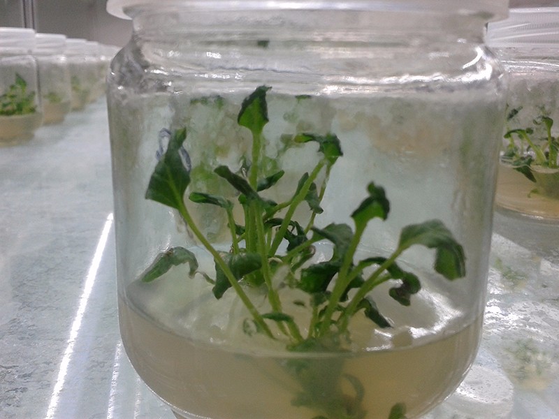 ç»å¹è®¾å¤