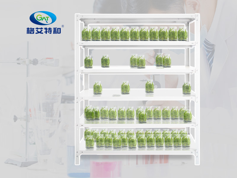 91香蕉APP下载设备