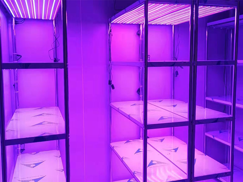 光照强度可调91香蕉APP下载架