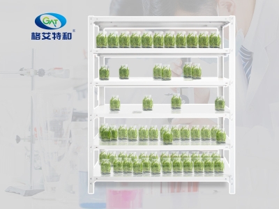 培养架,91香蕉APP下载架