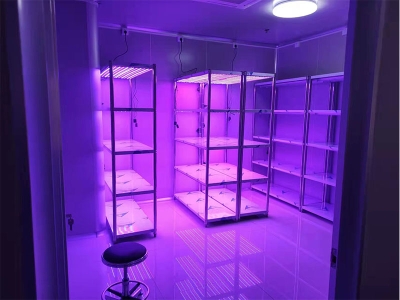 可调光谱91香蕉APP下载架