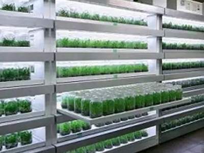 91香蕉APP下载实验室