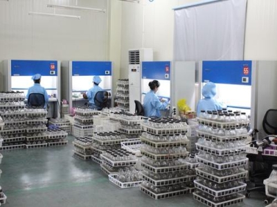 91香蕉APP下载实验室