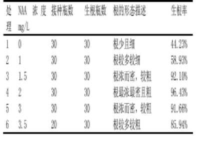 91香蕉APP下载苗