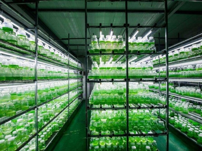 91香蕉APP下载实验室