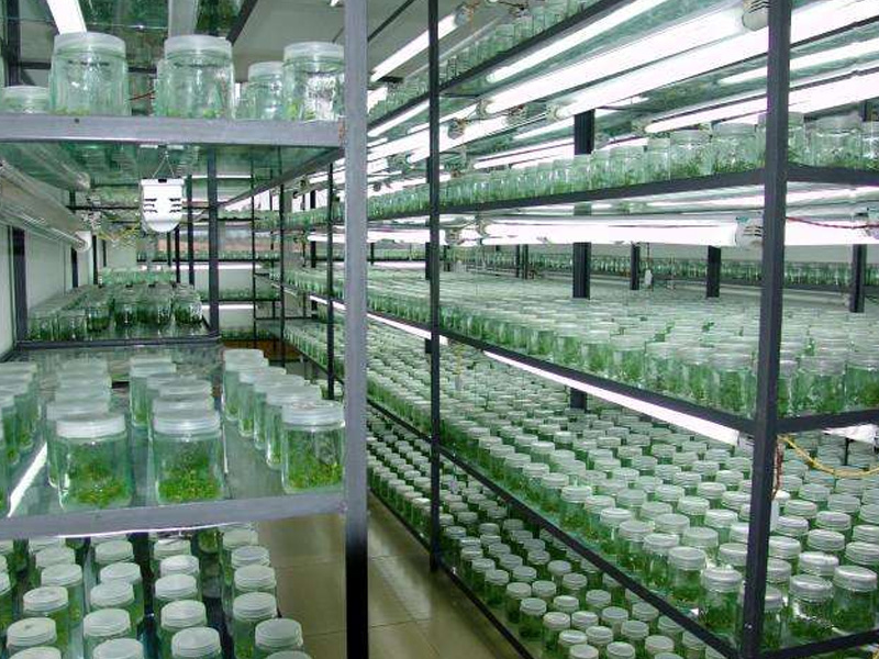 91香蕉APP下载工程