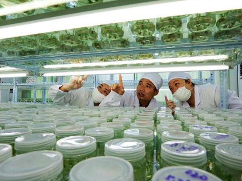 91香蕉APP下载室2