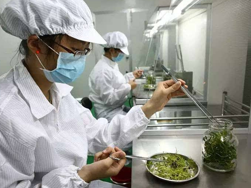 91香蕉APP下载室14 91香蕉APP下载室14