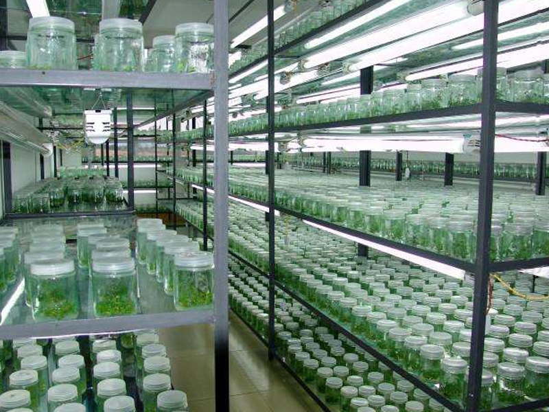 91香蕉APP下载室7 91香蕉APP下载室7