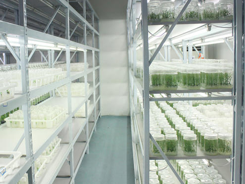 91香蕉APP下载架2 91香蕉APP下载架2