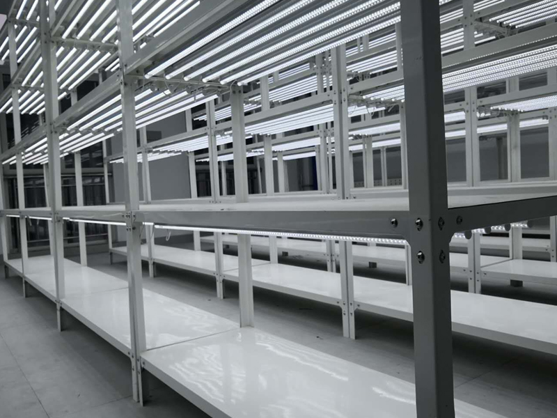 91香蕉APP下载架