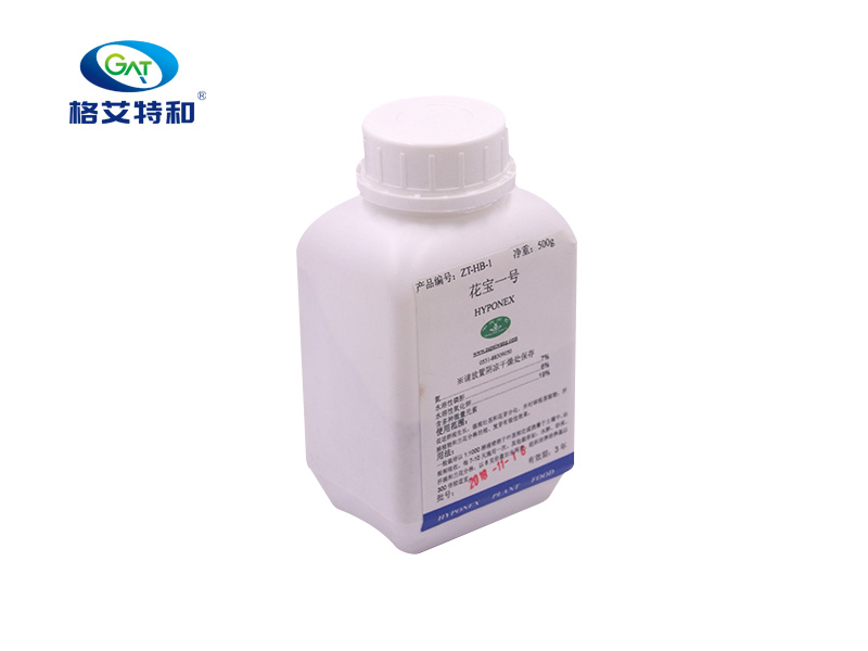 花宝1号1 花宝1号1