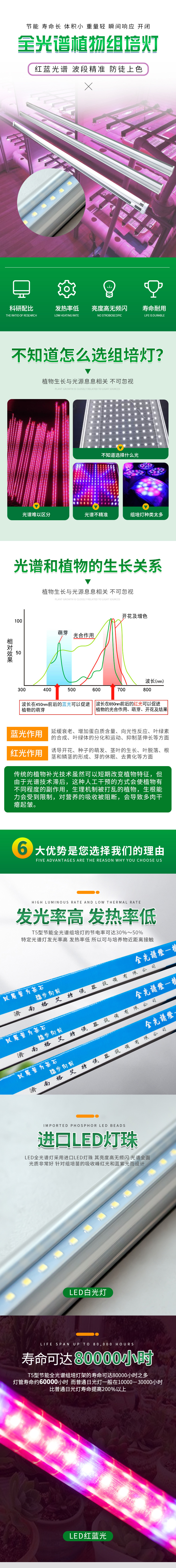 91香蕉APP下载灯1