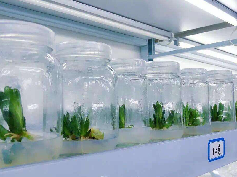 91香蕉APP下载 91香蕉APP下载