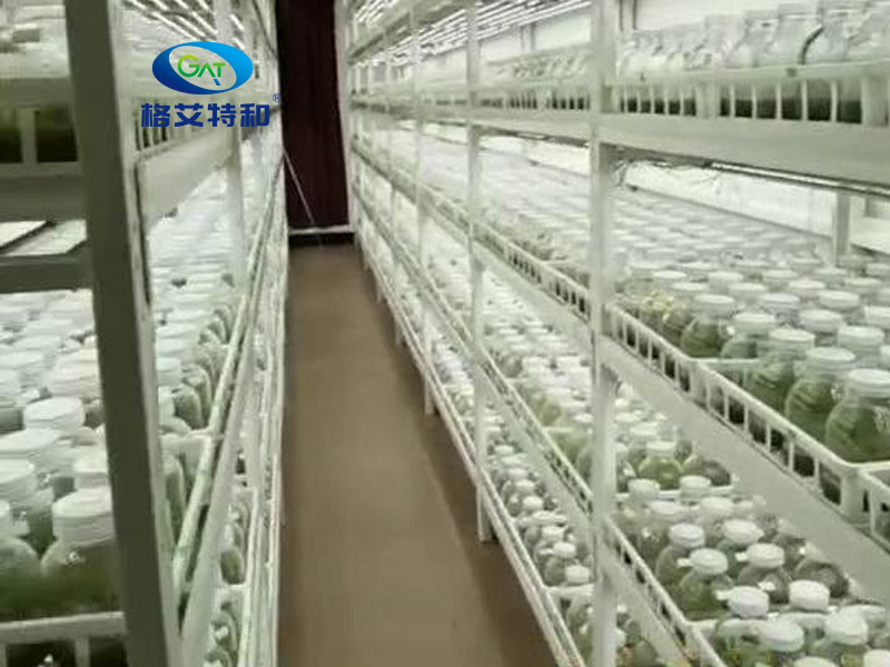 91香蕉APP下载架,培养架