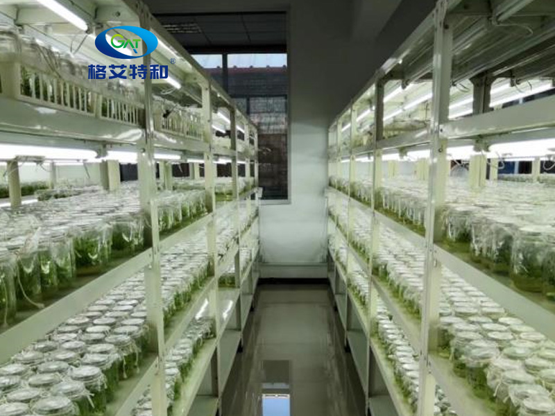 培养架,91香蕉APP下载架