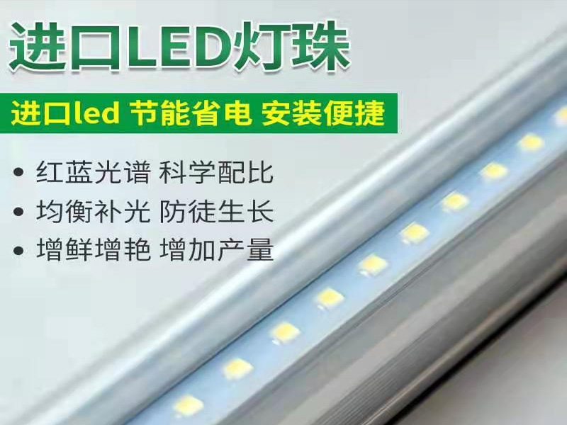 91香蕉APP下载灯