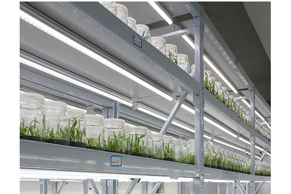 91香蕉APP下载架