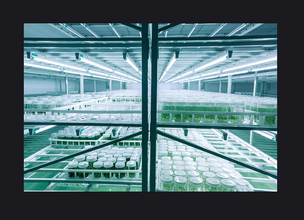 91香蕉APP下载实验室 91香蕉APP下载实验室