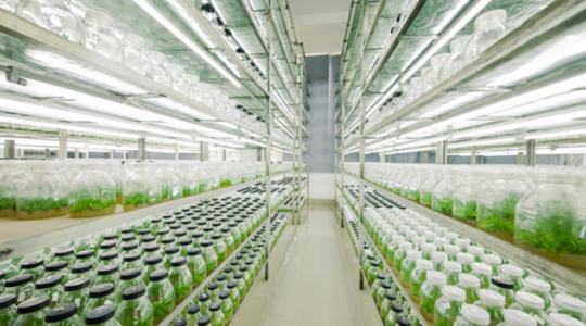 91香蕉APP下载快繁 91香蕉APP下载快繁