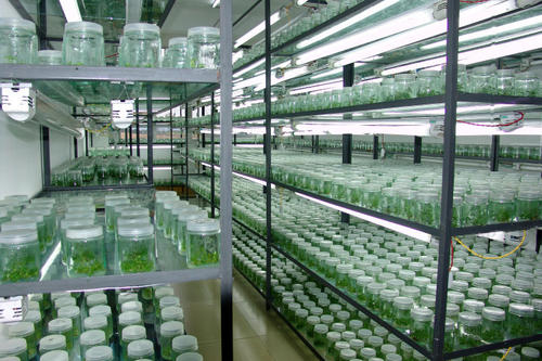 91香蕉APP下载快繁 91香蕉APP下载快繁