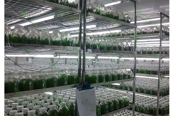 未标题-1-拷贝-5 未标题-1-拷贝-5