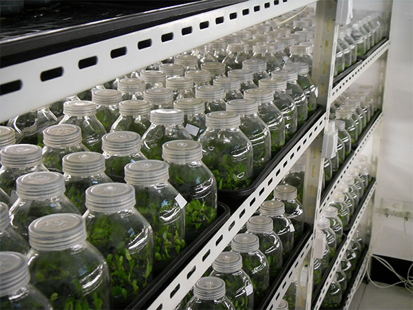 91香蕉APP下载仪器