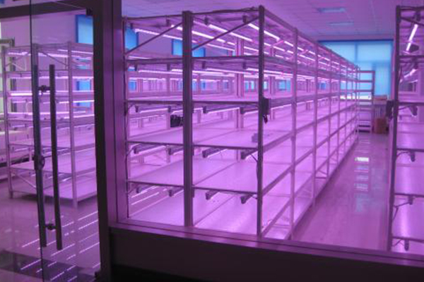 91香蕉APP下载架 91香蕉APP下载架