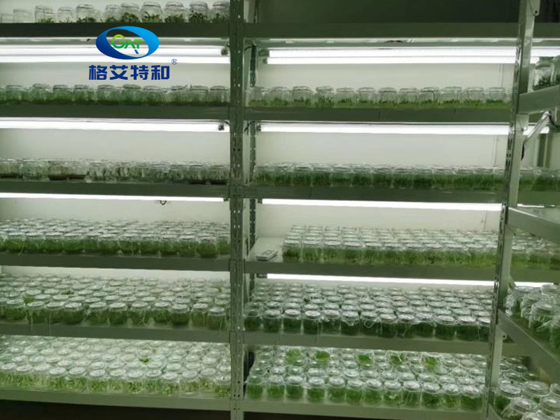 91香蕉APP下载架