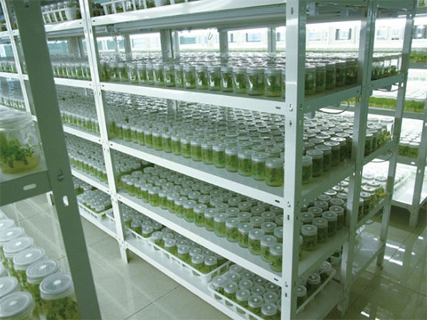 培养基灌装机 培养基灌装机