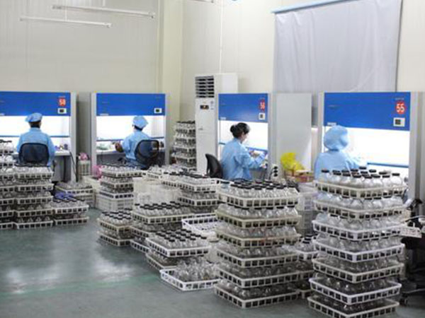 全套91香蕉APP下载设备 全套91香蕉APP下载设备