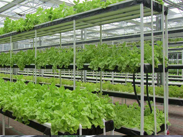 91香蕉APP下载室 91香蕉APP下载室