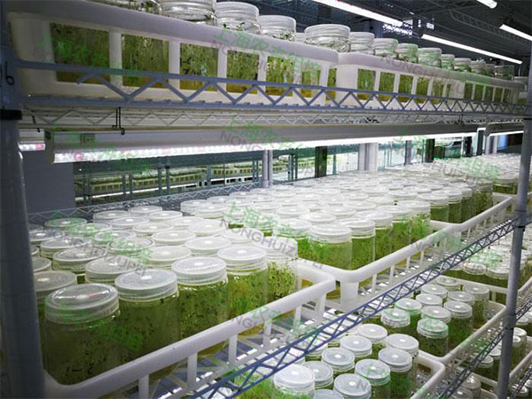 91香蕉APP下载室设计 91香蕉APP下载室设计