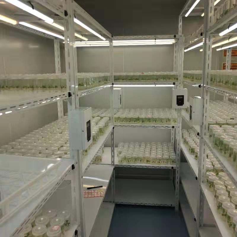 91香蕉APP下载室设计厂家 91香蕉APP下载室设计厂家