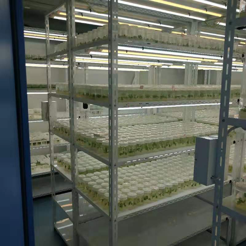 91香蕉APP下载仪器 91香蕉APP下载仪器