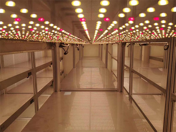 91香蕉APP下载架厂家