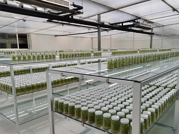 91香蕉APP下载架生产厂家