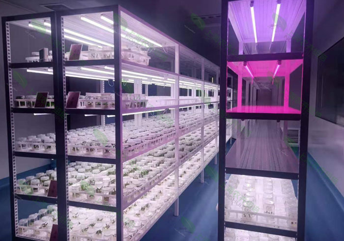 91香蕉APP下载室设计 91香蕉APP下载室设计