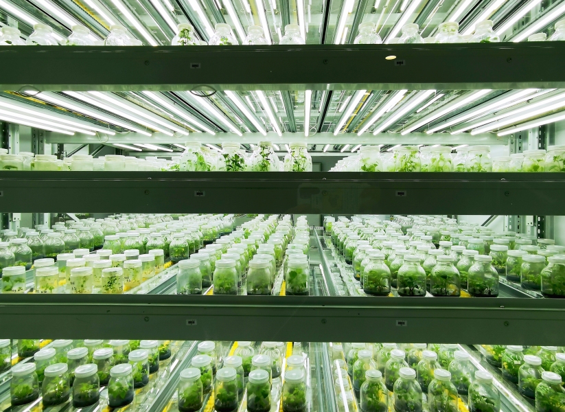 91香蕉APP下载室设计 91香蕉APP下载室设计